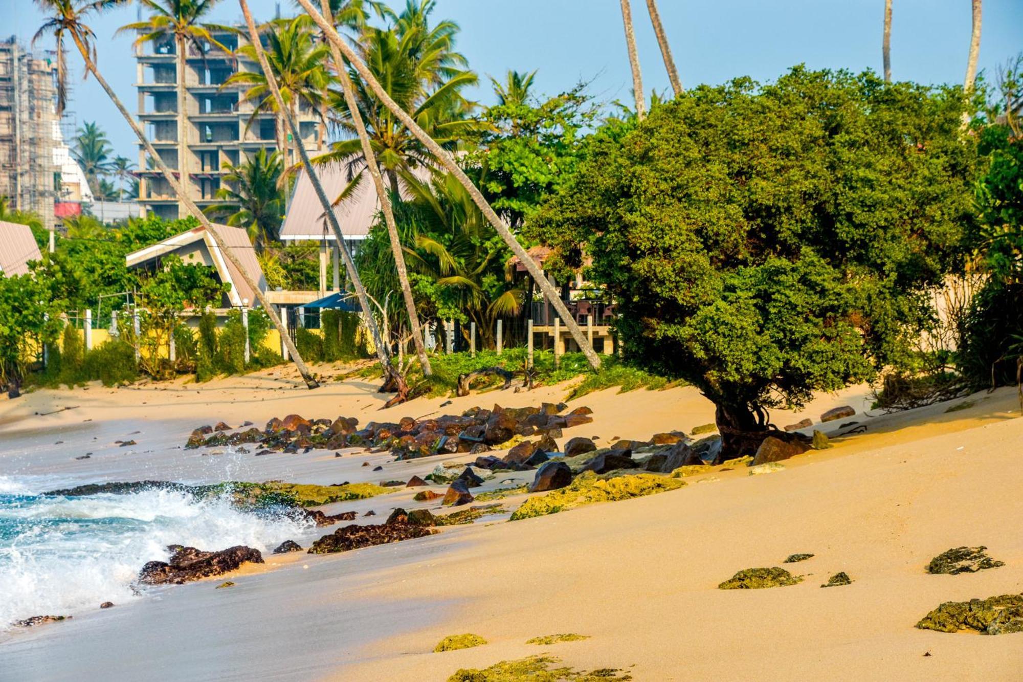 Ara Beach Resort Mirissa Zewnętrze zdjęcie